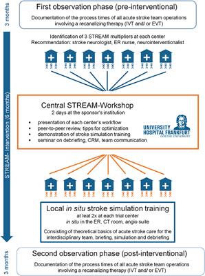 Simulation-Based Training of the Rapid Evaluation and Management of Acute Stroke (STREAM)—A Prospective Single-Arm Multicenter Trial